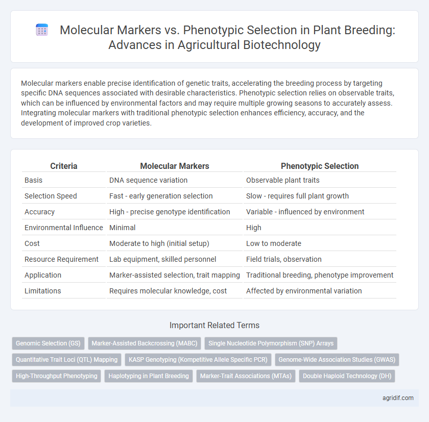 Molecular Markers vs. Phenotypic Selection in Plant Breeding: Advances in Agricultural Biotechnology