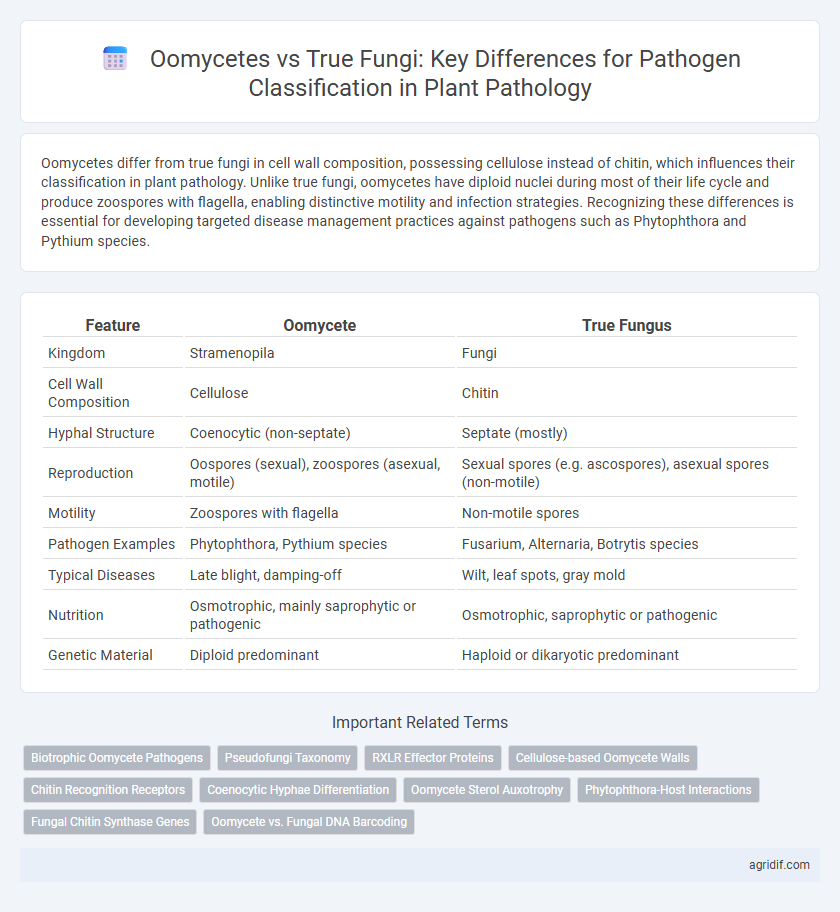 Oomycetes vs True Fungi: Key Differences for Pathogen Classification in Plant Pathology