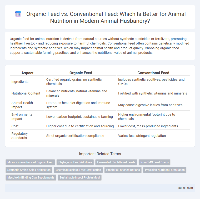 Organic Feed vs. Conventional Feed: Which Is Better for Animal Nutrition in Modern Animal Husbandry?