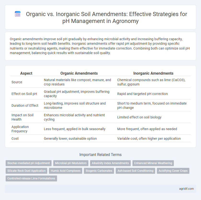 Organic vs. Inorganic Soil Amendments: Effective Strategies for pH Management in Agronomy