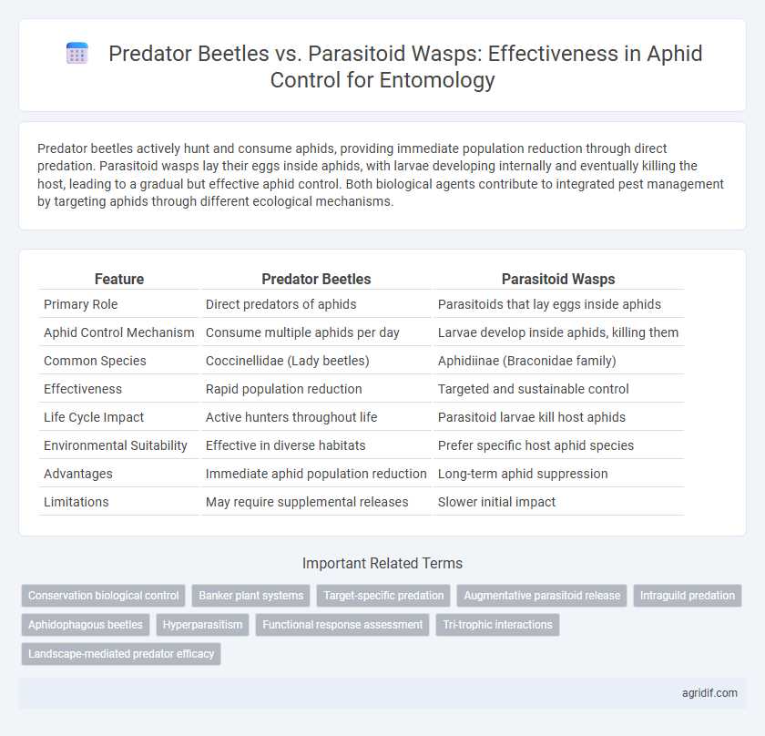 Predator Beetles vs. Parasitoid Wasps: Effectiveness in Aphid Control for Entomology