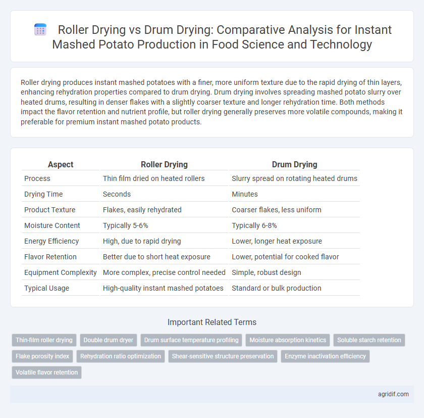 Roller Drying vs Drum Drying: Comparative Analysis for Instant Mashed Potato Production in Food Science and Technology
