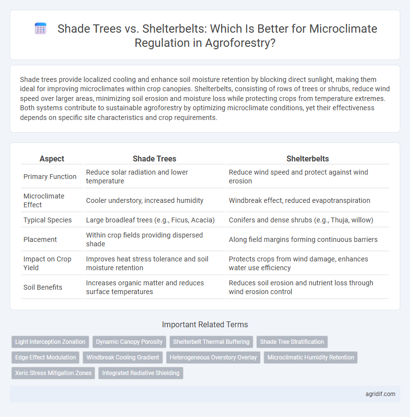 Shade Trees vs. Shelterbelts: Which Is Better for Microclimate Regulation in Agroforestry?