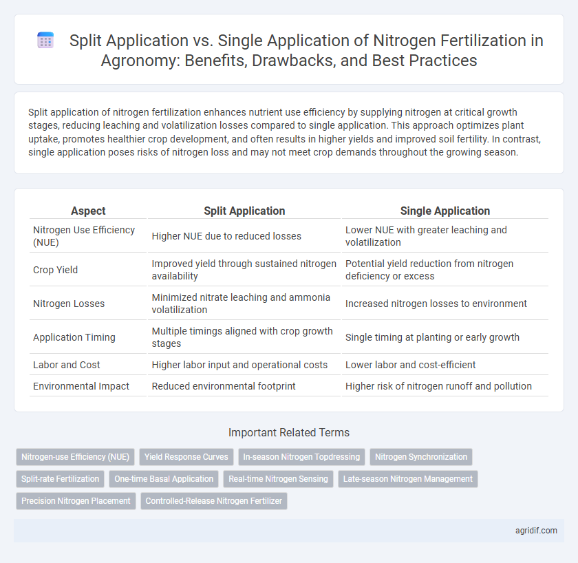 Split Application vs. Single Application of Nitrogen Fertilization in Agronomy: Benefits, Drawbacks, and Best Practices