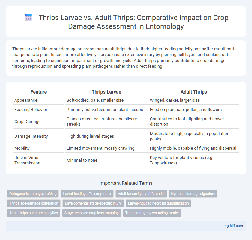 Thrips Larvae vs. Adult Thrips: Comparative Impact on Crop Damage Assessment in Entomology