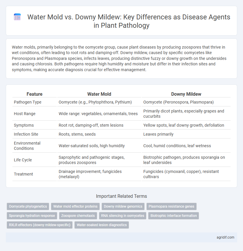 Water Mold vs. Downy Mildew: Key Differences as Disease Agents in Plant Pathology